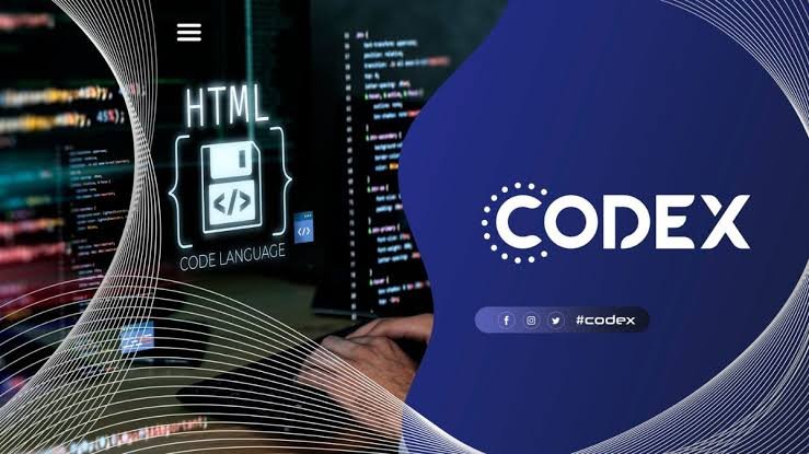 Programming Languages Supported by Codex